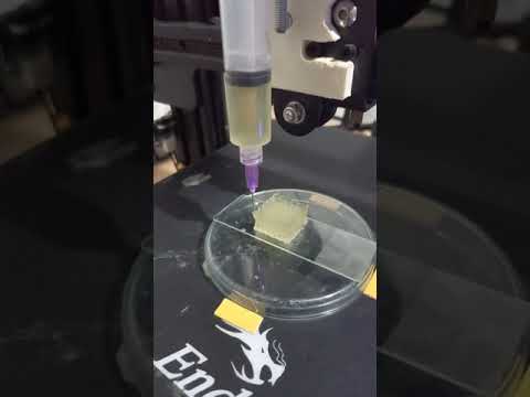 Algae laden alginate and collagen based scaffold